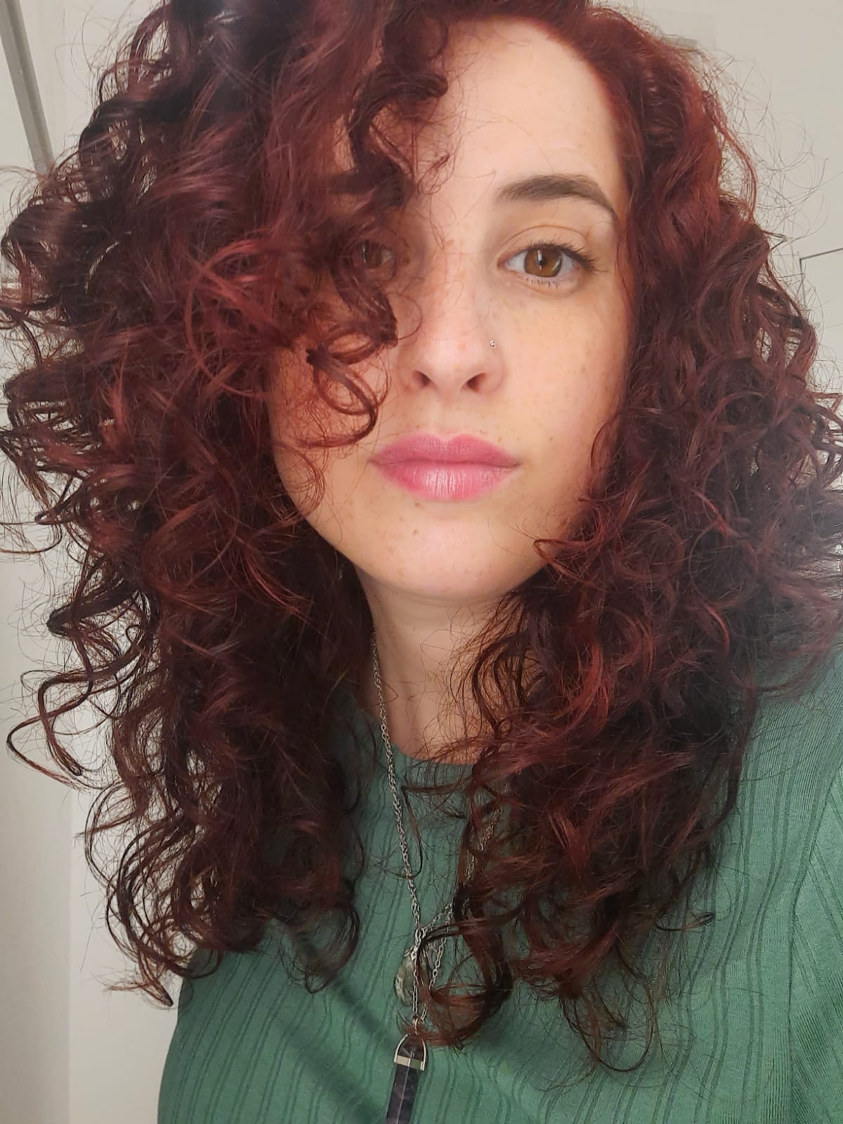 בית ספר לספרות, קורס ספרות, לימודי ספרות